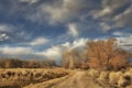 Dirt Road in Evening Royalty Free Stock Photo