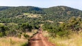 Dirt Road Hills Wildlife Landscape Royalty Free Stock Photo