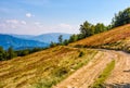 Dirt road through hillside with beech forest Royalty Free Stock Photo