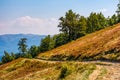 Dirt road through hillside with beech trees Royalty Free Stock Photo