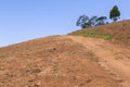 Dirt Road Hillside Royalty Free Stock Photo