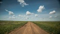 Dirt road into the horizon