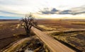 Dirt road intersection with lone tree Royalty Free Stock Photo