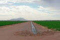 Dirt road and irrigation ditch through the farm fields Royalty Free Stock Photo