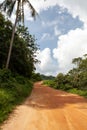 Dirt road in the jungle, Phuket, Thailand Royalty Free Stock Photo