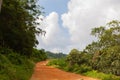 Dirt road in the jungle, Phuket, Thailand Royalty Free Stock Photo