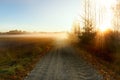 Dirt road among the landscape of late autumn in the early morning. Royalty Free Stock Photo