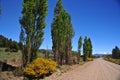 dirt road in landscape with trees in summer in san martin de los andes neuguen with blue sky argentin Royalty Free Stock Photo