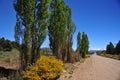 dirt road in landscape with trees in summer in san martin de los andes neuguen with blue sky argentin Royalty Free Stock Photo