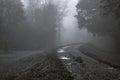 Dirt road leading through foggy trees landscape Royalty Free Stock Photo