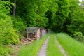 Dirt road leading into the forest with wood pile on the side