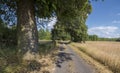 Dirt road leading among half and large old trees growing along it in a rural setting under a blue sky. Royalty Free Stock Photo