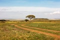 Dirt Road Leading Through Kenya Africa Field