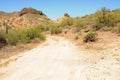 Desert Road Sonora desert Arizona Royalty Free Stock Photo