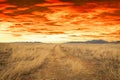 A dirt road leading off into the distance to mountains on the horizon under a clear blue sky