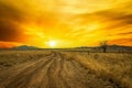 A dirt road leading off into the sunset Royalty Free Stock Photo