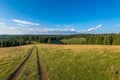 Dirt road leading through pine forest in the Carpathian mountains, Transylvania Royalty Free Stock Photo