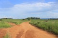 Dirt road leading through the savanna in Mlilwane, Swaziland, Africa, Safari Royalty Free Stock Photo