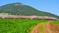 Mount Tabor in Israel