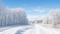 Dirt road leading to frosted woodland along snowy farmland under blue sky with white fluffy clouds