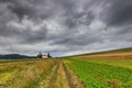 Dirt road leading to a small catholic church through agricultural field