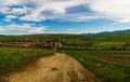 Dirt road leading to a typical hungarian village in Transylvania, Romania at springtime, vibrant green grass with wild flower Royalty Free Stock Photo