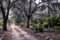 A dirt road leads through the tombstones and Spanish moss-covered trees in the creepy Bonaventure Cemetery, Savannah, Georgia, USA Royalty Free Stock Photo