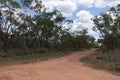 Dirt road lined with gumtrees and water puddles Royalty Free Stock Photo