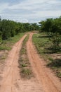 Dirt road at Matusadona National Park Royalty Free Stock Photo