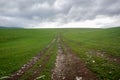 Dirt road in the middle of a green field Royalty Free Stock Photo