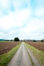Dirt road in the middle of a tilled field. Royalty Free Stock Photo