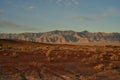 Dirt road in Mojave desert dawn landscape Royalty Free Stock Photo