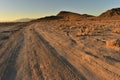 Dirt road in Mojave desert dawn landscape Royalty Free Stock Photo