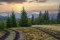 Dirt road on the mountain meadow Royalty Free Stock Photo