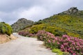 Dirt road in the mountains, Crete, Greece Royalty Free Stock Photo