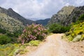 Dirt road in the mountains, Crete, Greece Royalty Free Stock Photo