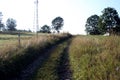 A dirt road in the mountains and an old fence overgrown with tall grass. A beautiful morning in the mountains Royalty Free Stock Photo