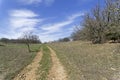 A dirt road in the mountains. Crimea.