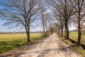 Dirt road in the nature reserve near Oudemolen Royalty Free Stock Photo