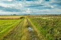 Dirt road next to fields and meadows Royalty Free Stock Photo