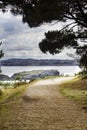 Dirt road next to the sea with pine trees on one side and the se Royalty Free Stock Photo