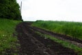 dirt road next to trees and wheat field Royalty Free Stock Photo
