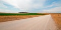 Dirt road next to uncut Alfalfa field in Montana USA Royalty Free Stock Photo