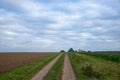 Dirt road in November with cloudy skies, left side with shrubs, right harvested corn field