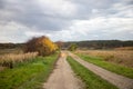 Dirt road in November with cloudy skies, left side with shrubs, right harvested corn field