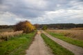 Dirt road in November with cloudy skies, left side with shrubs, right harvested corn field