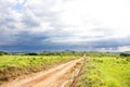 Dirt Road on Nyika Plateau Royalty Free Stock Photo