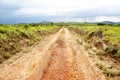 Dirt Road on Nyika Plateau Royalty Free Stock Photo