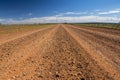 A dirt road of the Oodnadatta Track in the outback of Australia Royalty Free Stock Photo