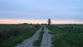 Dirt road in an open field at sunset on a summer day. The sun sheds a parting light on the sky, which turns pink. The field was Royalty Free Stock Photo